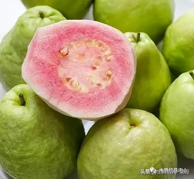 小众水果芭乐，又被茶饮店们带火了，最全芭乐说明书