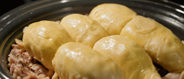 吃完榴莲可以喝花胶汤吗 2025年榴莲可以和花胶一起煲汤吗