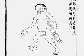 “宁遇豺狼，不碰山魈”，长着鬼脸的山魈真的可以手撕虎豹吗？图片