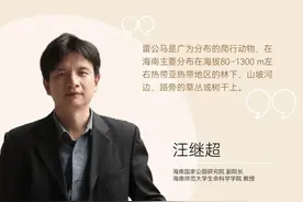 快来看，多元视角解读海南雷公马图片