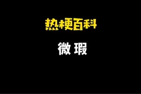 「热梗百科」“​微瑕”是什么梗？图片