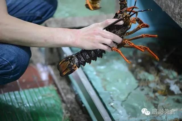 40头的花胶是几级 2025年花胶40头是什么意思?