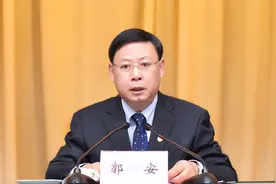 3厅官被查1厅官被双开！“平坟市长”岳文海辞公职10年后落马图片