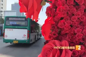 铺满红玫瑰！昆明这个“网红”公交站台火了，你打卡了吗？图片