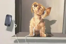 你知道吗？洗脑神曲是如此批量创造的图片