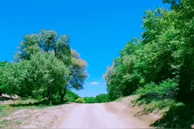 全球首条“公路”，至今寸草不生，现成旅游景点图片