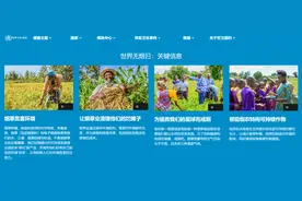 上亿烟民困在烟瘾里：不抽烟时如犯毒瘾，半夜爬起来偷偷抽图片