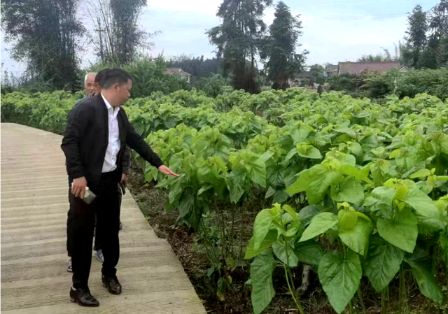 四川省民生研究会新媒体中心-官网