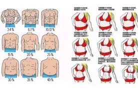 健康成年人正常体脂率范围是多少？图片