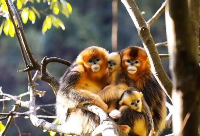 四川省民生研究会新媒体中心-官网