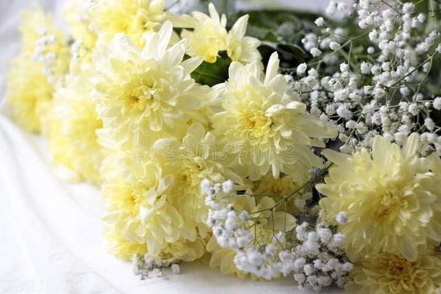 寄给在天堂的爸爸的一封信,想念祭奠父亲,在春天说爱你!