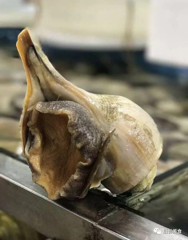 40头的花胶是几级 2025年花胶40头是什么意思?