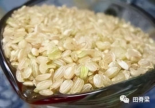 椋熺墿澶氱澶氭牱銆佷富瑕佷负璋风被