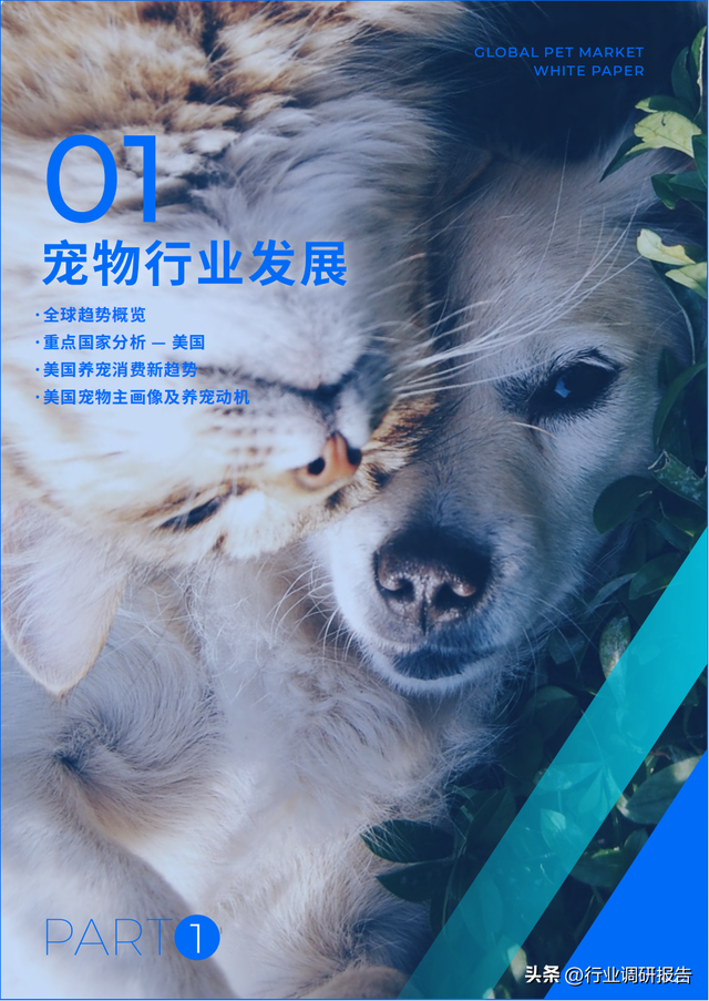 ȫ������г���Ƥ�飨15��������7���ص�������Ƽ������߷�����