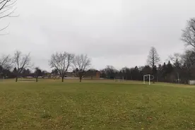 昨天在多伦多的生活札记图片