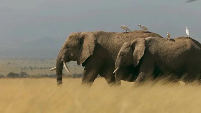 ��߶���9.6����һ���ڣ��Ƽ�20�����ź�Ƭ