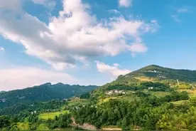 农村俗语：“家有四声叫，不是好预兆”，讲的是哪四种声音？图片