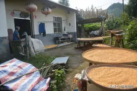 电子厂诚心招临时工，一天300元饭菜管够，员工：都是套路图片