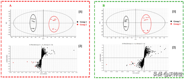 解吸电喷雾质谱成像(DESI-MSI)阐明板蓝根品质特征