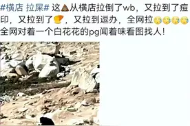 无耻！竟然横店荒野随地大小便，网友推测：当事人是待爆顶流图片