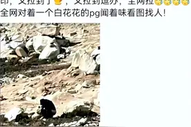 无耻！竟然横店荒野随地大小便，网友推测：当事人是待爆顶流图片