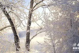 有这3种思维习惯的人，注定平庸图片