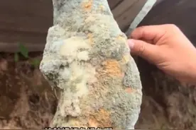 男子买了块腌制12年的长霉腊肉，能吃吗？医生表示：不安全图片