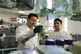 兰大专家研发 可降嘌呤和尿酸 痛风人群可饮用浆水啤酒有望年内上市图片
