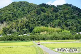 日本将掌握外国人购买农地情况图片