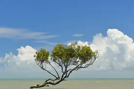 人到中年：不诉沧桑，不露锋芒，不减锐气图片