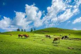 金秋时节 看山西丨省内游这7处绝佳胜地，千万别错过图片