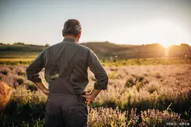 一个中年男人讲，夫妻间“性”没了，犹如家里的长明灯熄了，对吗图片