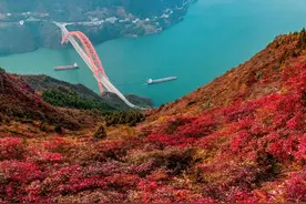 霸气登场！全国来得最晚的顶级红叶，规模大观赏期长，却少人问津图片