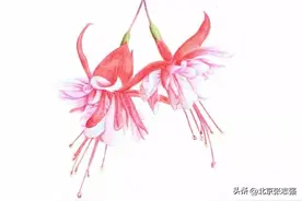 古风：绿肥红瘦图片