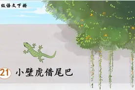 一年级语文下册课文21《小壁虎结尾巴》课件+教学设计图片