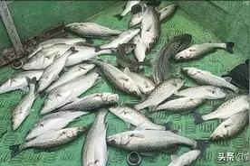 海钓初学者-需了解的问题图片