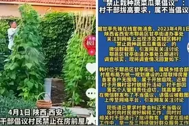 农村房前屋后禁种蔬菜，创城意义到底何在？图片