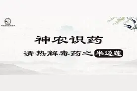 《神农识药》清热解毒药之半边莲图片