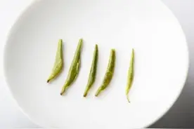 川茶与豫茶的相逢，能否碰撞出火花？蒙顶甘露与信阳毛尖的对冲图片