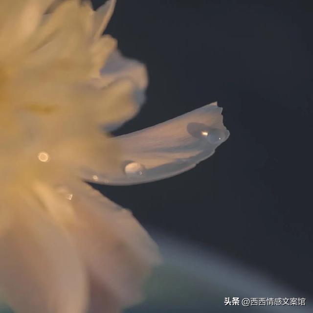 �ʺϷ�����Ȧ����ů�����İ�