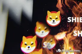110 亿的柴犬币被销毁，为什么柴犬币的燃烧消耗很重要图片