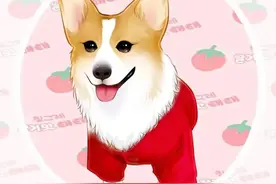 换个头像吧，可爱呆萌的宠物卡通头像，开心快乐多多图片
