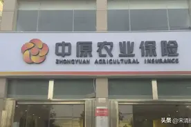 宋清辉：地方中小险企获当地国资股东支持 有利于其借力实现发展图片