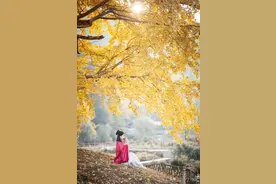 现代女性10大幻觉。图片