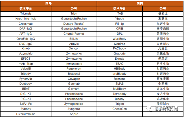 1+1＞2，双特异性抗体的最新研究进展