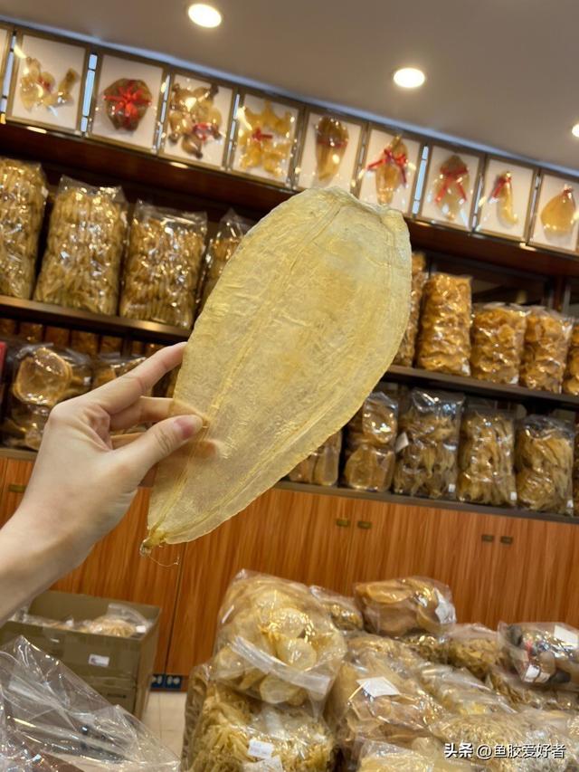 2头陈年安南双芽鱼胶价格 2026年安南双牙鱼胶图片