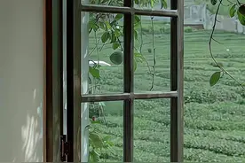 50句高质量短句文案图片