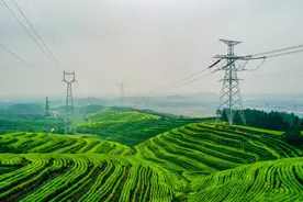 迎峰度夏电力保供｜7毫秒绿电“闪送”江南 白鹤滩电力外送通道全面投产图片