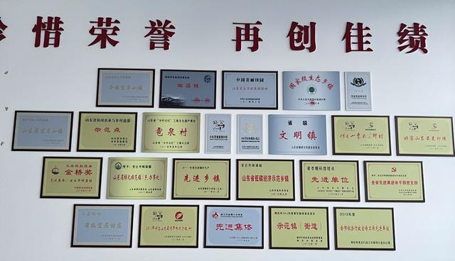 争创山东省乡村文化建设样板镇村 | 辉渠镇:百泉之乡 人文辉渠