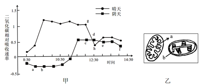 河南名校！省实验中学2021-2022学年高三上学期期中生物试题答案